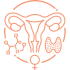 ginecologia3.fw